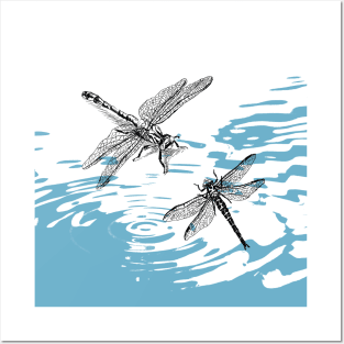 Dragonflies print Posters and Art